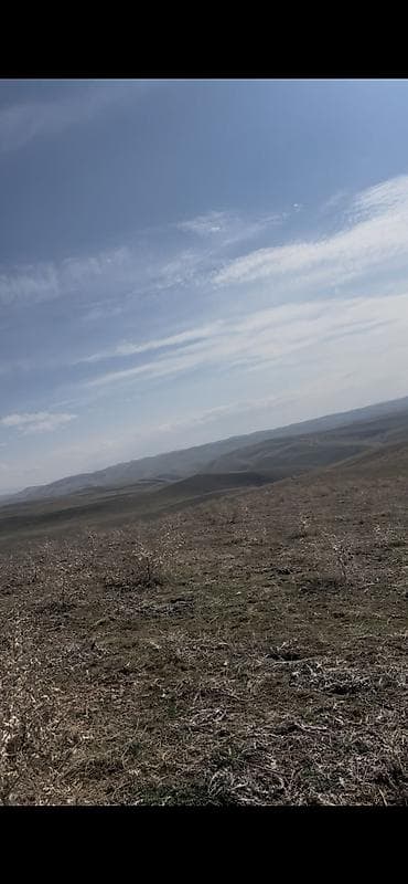 продаю дом в киргизии 1: Чек сатылат — 1