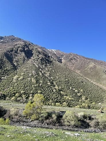 испанский язык: Всем привет друзья)) Я из южной столицы Хобби рыбалка Если кому — 2