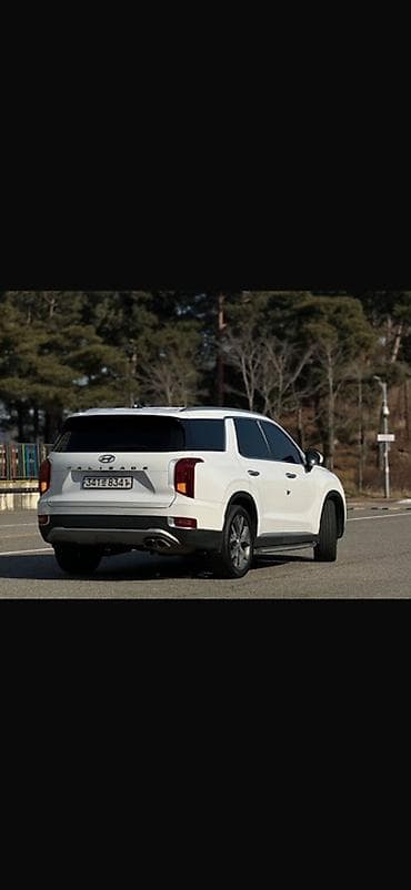 s4 2 2: Hyundai Palisade: 2020 г., 2.2 л, Автомат, Дизель, Кроссовер — 5