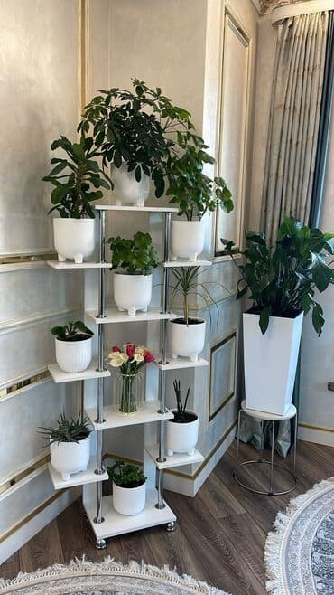 Полка для цветов, Новый, ЛДСП, Бесплатная доставка, Самовывоз, Платная доставка