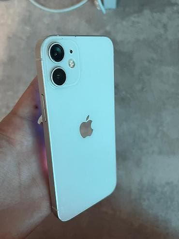 IPhone 12 mini, Б/у, 256 ГБ, Белый, Чехол, 64 %
