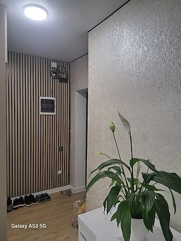 Батирлер: 1 бөлмө, 42 м², Элитка, Дордой Моторс базары Элитка, 3 кабат, Евро оңдоо — 3