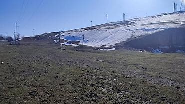 жер сатылат сосновка: 25 соток, Курулуш, Сатып алуу-сатуу келишими — 9