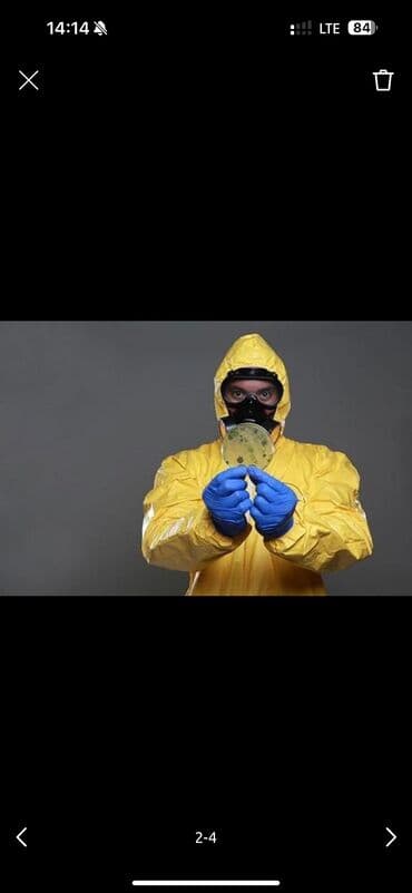 уничтожение клоп блох: Дезинфекция, дезинсекция, | Блохи, Вирусы, микробы, Клопы, | Офисы, Дворы, Дома — 6