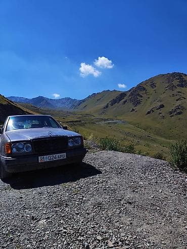 e53 4 8: Mercedes-Benz E-Class: 1991 г., 2.9 л, Автомат, Дизель, Седан — 10