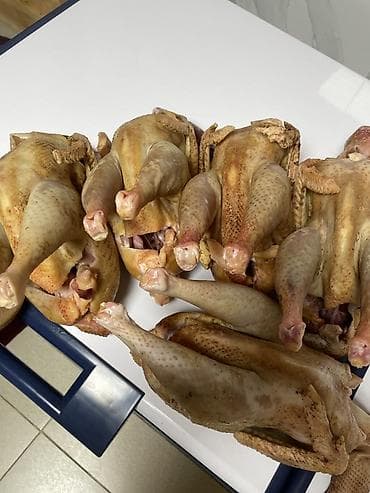 тошоки бишкек: Домашние куры, кормленные кукурузой 600 сом за 1 кг — 3