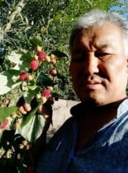 семена микрозелени бишкек: Другие виды семян и саженцев — 7