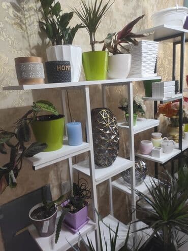 полка для цветок: Цветочные полки, Стеллаж на выбор
Размер и цвета разные — 7
