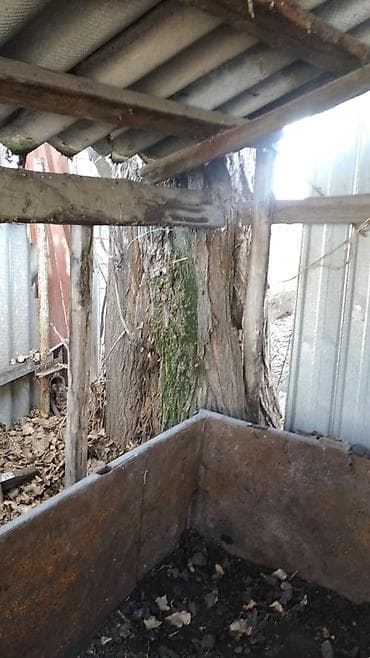 Уголь: 2 Терек Бекер берилет. Өзүңөр кыйып кетесиңер — 2