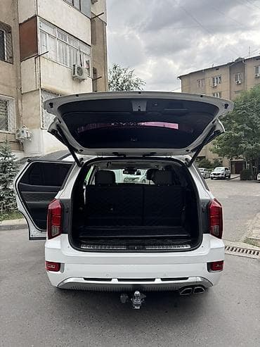 byd plus: Hyundai Palisade: 2020 г., 3.8 л, Автомат, Бензин, Кроссовер — 9