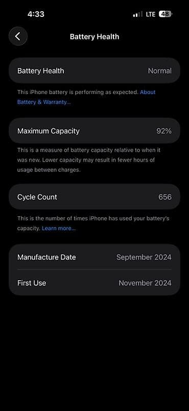 galaxy 22: IPhone 16 Pro Max, 256 ГБ, Desert Titanium, Коробка, 92 % — 2