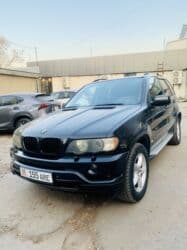 runx alex: BMW X5: 2003 г., 3 л, Типтроник, Дизель, Кроссовер — 1
