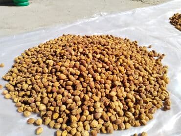 букет из сухофруктов бишкек: 10кг ашык алгандарга жеткирип беребиз Бишкек ичи. при покупке 10 кг — 3