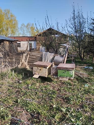 Ящиктер: Жыгач Ящик, Колдонулган — 1