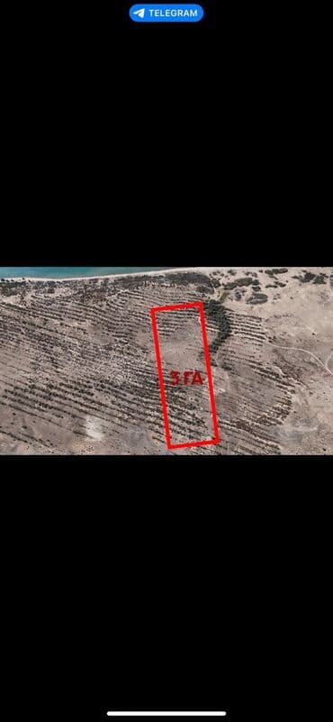 продажа домов на иссык куле: 300 соток, Красная книга — 1