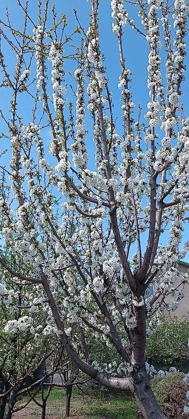 с отдельным входом: ПРОДАЕТСЯ! Можно оформить под ИПОТЕКУ — 5