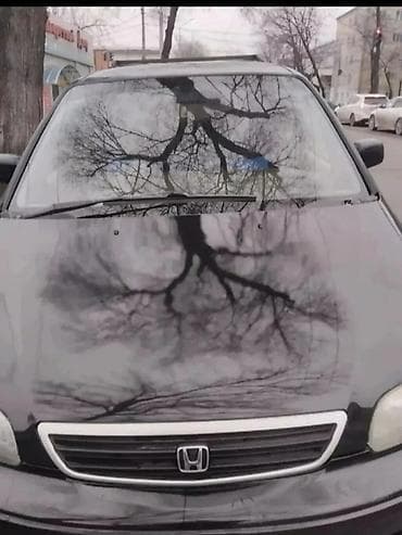 хонда одиссей генератор: Honda Odyssey: 1998 г., 2.3 л, Автомат, Бензин, Минивэн — 2
