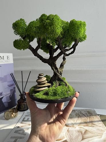 В переводе с японского Бонсай означает «дерево, выращенное в блюде»