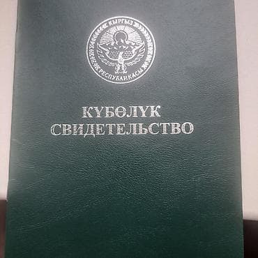 Кыймылсыз мүлк: 515 соток, Айыл чарба үчүн, Техпаспорт, Сатып алуу-сатуу келишими — 1