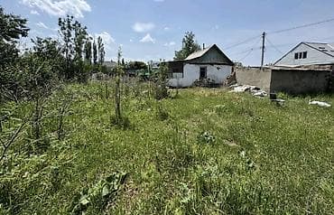 8 соток, Курулуш, Кызыл китеп — 4