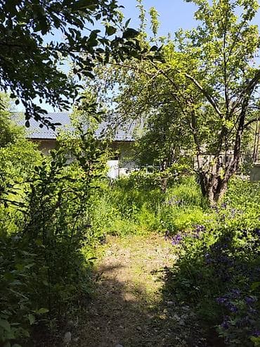 у реки: Продаю дачу, с. Арашан, ст "электрик". участок по факту 8сот, по — 1