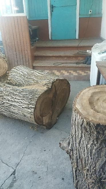 Большие чурбаки/отрезки древесины для столешниц, мебели и декора. -