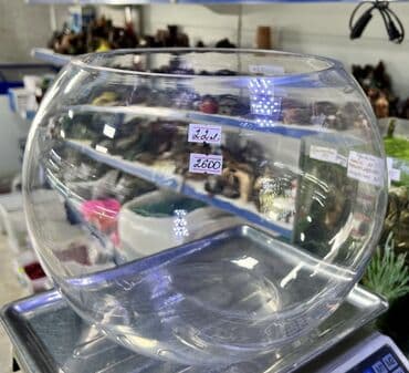 все для аквариума бишкек: Круглые аквариумы от 1,5л до 22л зоомагазин Жемчужина Мы находимся — 5