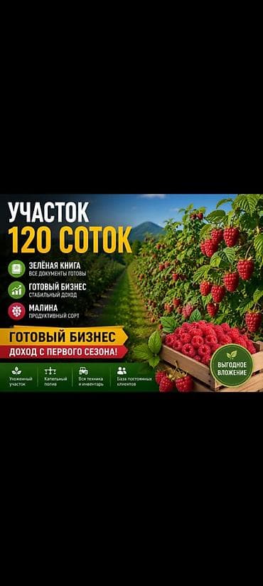 67000 соток, Айыл чарба үчүн, Сатып алуу-сатуу келишими