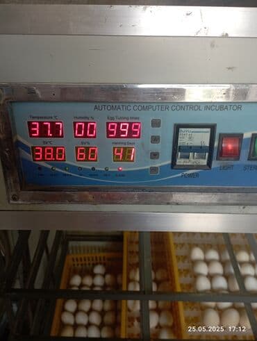 Инкубатор с автоматическим компьютерным управлением для вывода яиц
