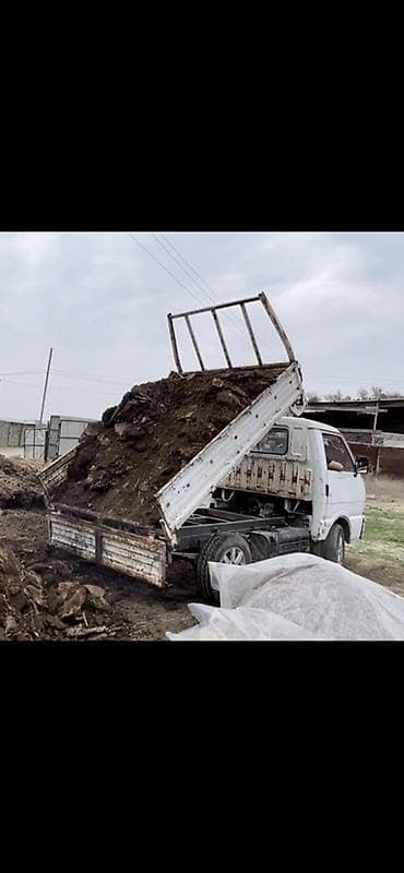 2 gz: Легкий грузовик, Nissan, Стандарт, 3 т — 7