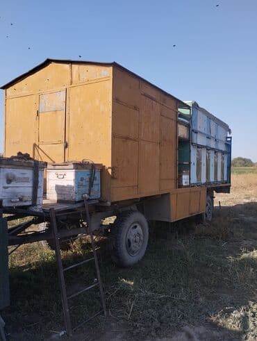 дом машина: Пчелоплатформа/ павильон, по документам платформа, павильон можно — 2