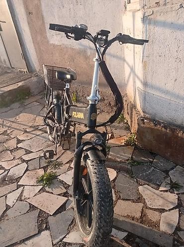 Көркөм өнөр жана коллекциялоо: Электрдик велосипеддер — 2