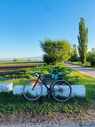 Городской/трековый велосипед с фиксированной передачей (fixed-gear) -