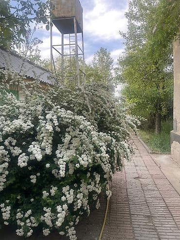 комнаты: 85 м², С мебелью — 10