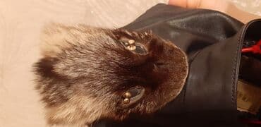 липотрим как отличить подделку: Эксклюзивная кожанная куртка! Покупала в Турции. Одевала пару раз в — 11