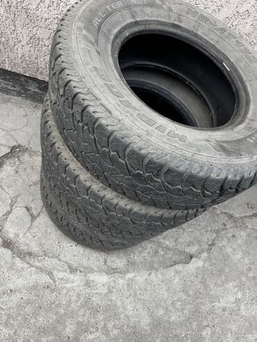 сколько стоят зимние шины на машину: Шины — 3