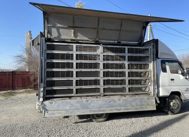 рыбаловный сет: Доставка всех видов птиц курицы,утки и т.д 
Размер сетки 20х65х70 — 1