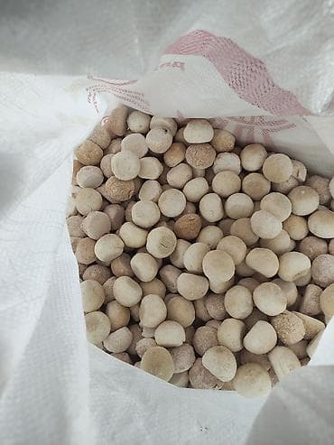 соль для животных: Курут сатылат таза, майлуу,кошулмасы жок.550с кг — 2