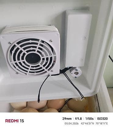 инкуб: Инкубатор для яиц с автоматикой - Модель: Egg Incubator (панель — 6