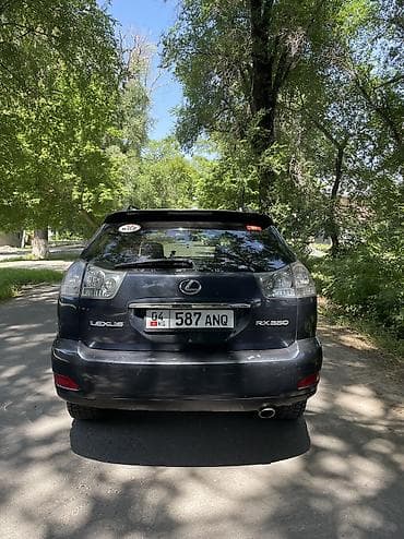 дверь багажника: Lexus RX: 2006 г., 3.5 л, Автомат, Газ, Кроссовер — 6