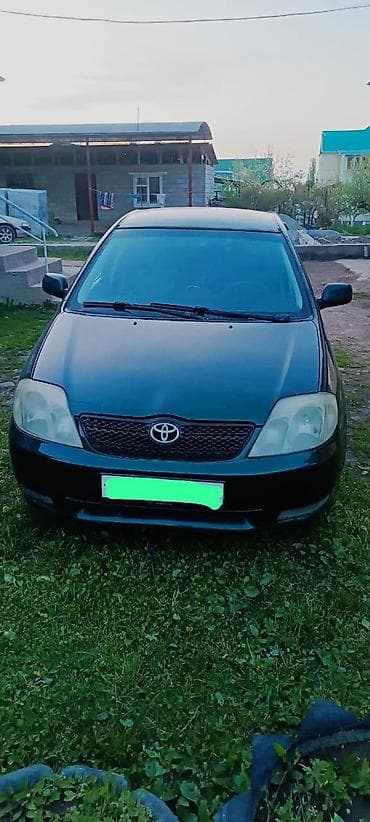 гранаты на камри: Toyota Corolla: 2002 г., 1.6 л, Ручные, Бензин, Седан — 1
