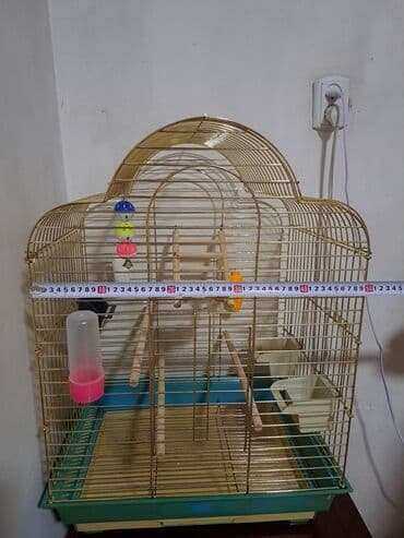 акустические системы atrix колонка в виде собак: Продаю клетку. Высота 70см.Ширина 50*40см.б/у. В хорошем состоянии — 2