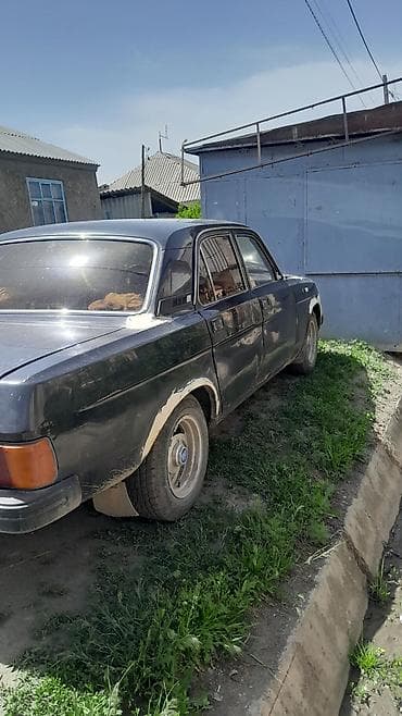 ГАЗ: ГАЗ 31029 Volga: 1994 г., 2.4 л, Механика, Бензин, Седан — 3