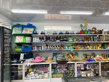 Недвижимость: Продукт: Действующий бизнес,Продовольственный магазин с коттеджом — 3