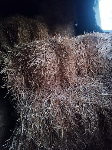 Тюки соломы/сена в тюках малого прямоугольного формата. - Форма