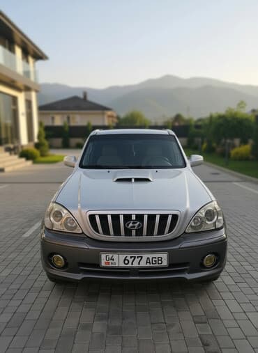 Hyundai Terracan: 2003 г., 2.9 л, Автомат, Дизель, Внедорожник