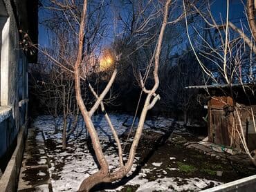 куплю дом село гроздь: Дом, 72 м², 7 комнат, Собственник, Старый ремонт — 24