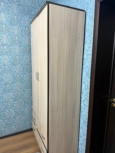 буу полка: Двухдверный платяной шкаф в современном светлом дубовом декоре. Цена — 5