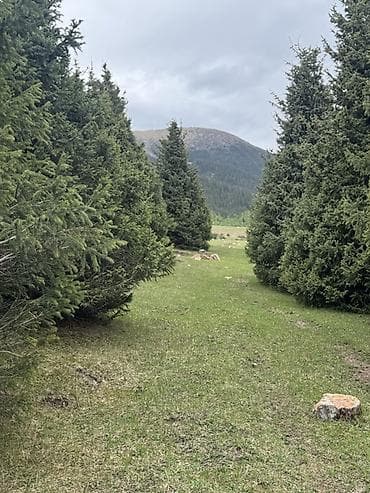бизнем: 7 соток, Для бизнеса, Красная книга — 2