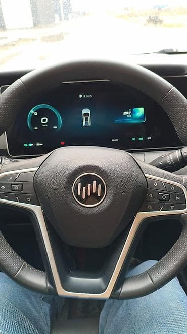 Weltmeister: Weltmeister W6, 2022 г., Алдыңкы — 5